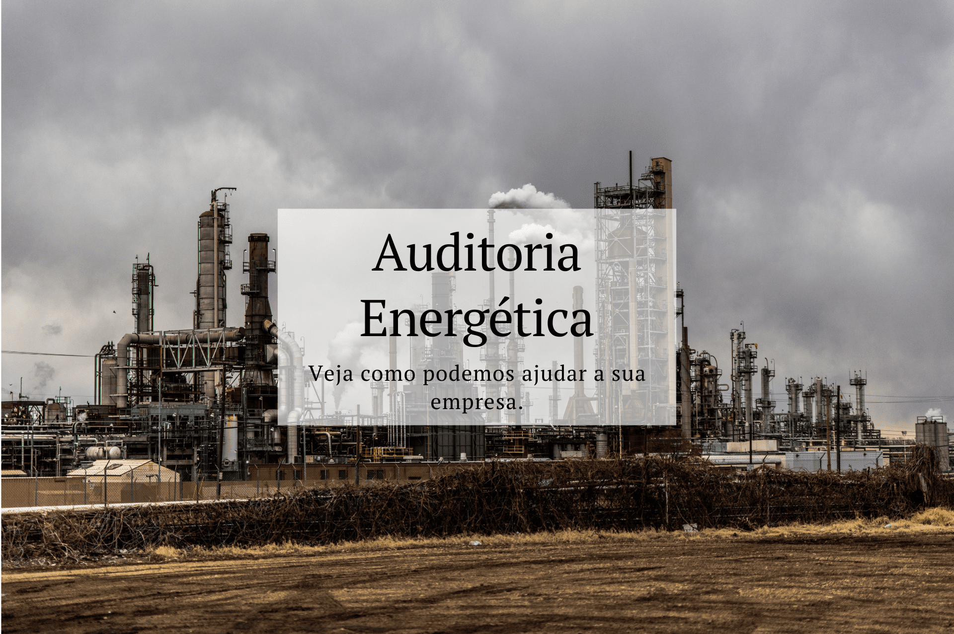 Foxtermo Site (2) (1).png